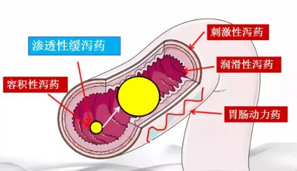 治便秘用泻药？你知道危害有多大吗？