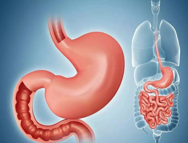 早期胃癌有什么表现？护胃吃什么食物？
