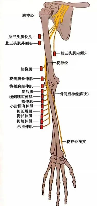 长时间保持一个睡姿，给你的身体带来了什么？