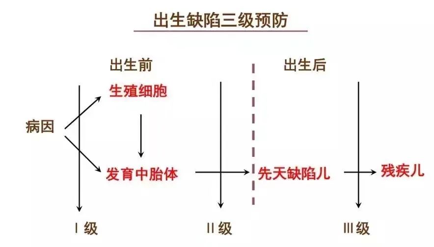 预防出生缺陷，科学健康孕育！给宝宝无”陷“未来~