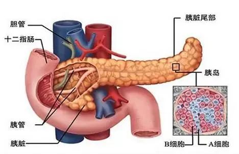 年轻人的致命习惯，让她差点住进ICU......