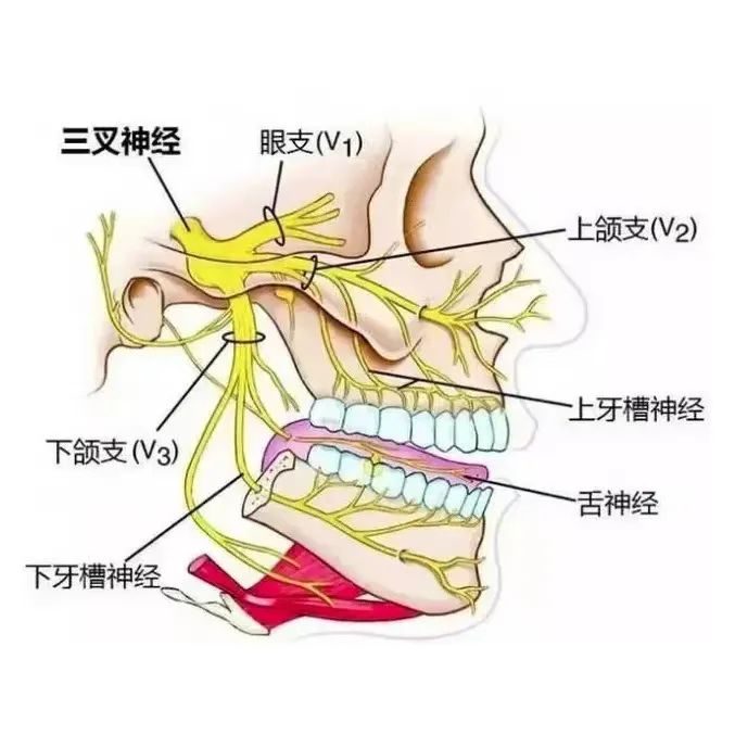 一根针，20分钟，为他解决困扰1年之久的“天下第一痛”！