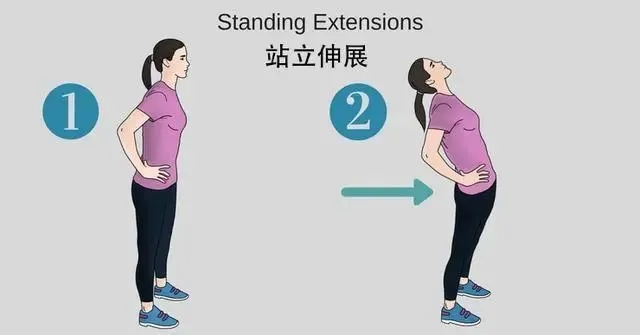 腰间盘突出？试试这6个伸展动作，让你的腰杆子重新挺直！